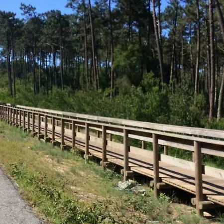 House Loft Privatunterkunft Cortegaça