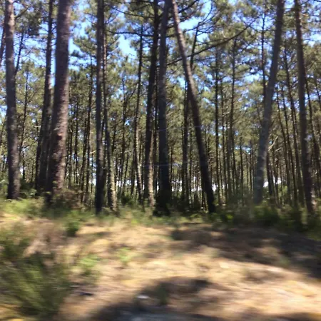 House Loft Alloggio in famiglia