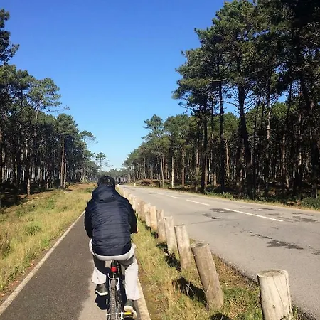 Privatunterkunft House Loft