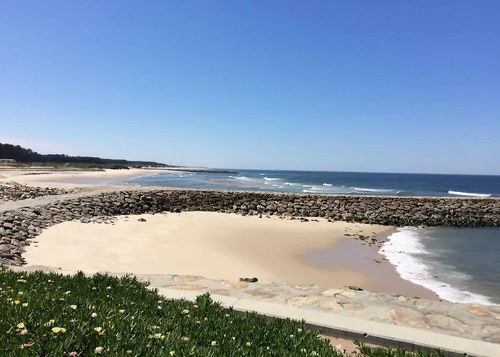 House Loft Cortegaça