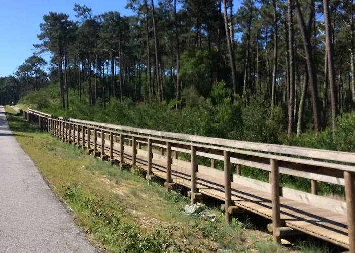 House Loft ホームステイ Cortegaça