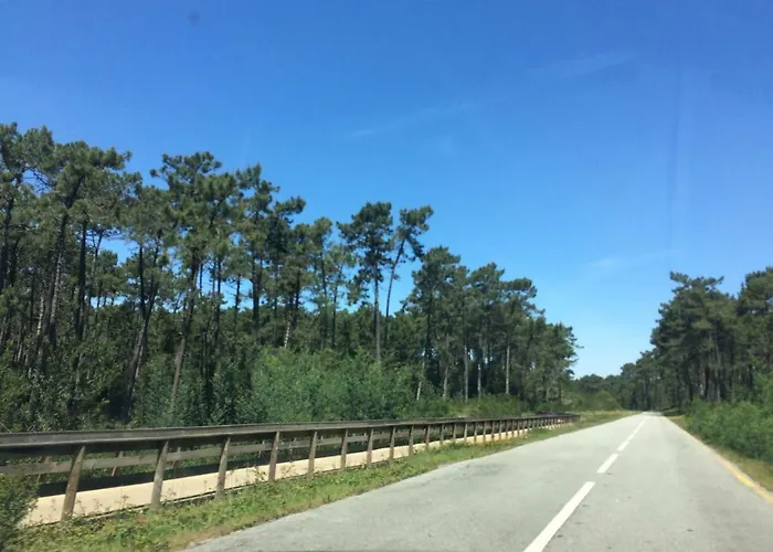 House Loft * Cortegaça