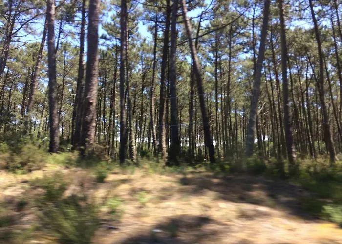 House Loft Séjour chez l'habitant