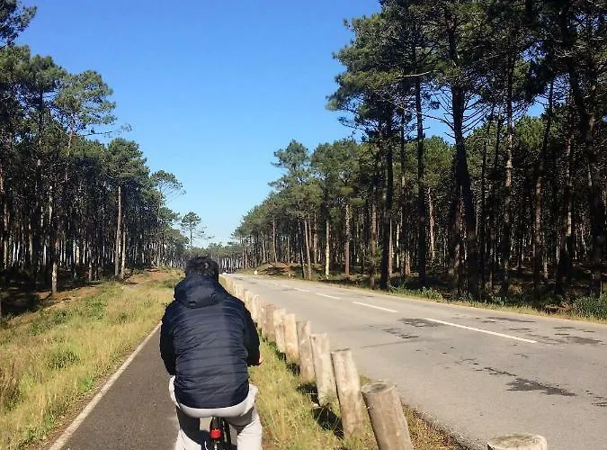 Séjour chez l'habitant House Loft